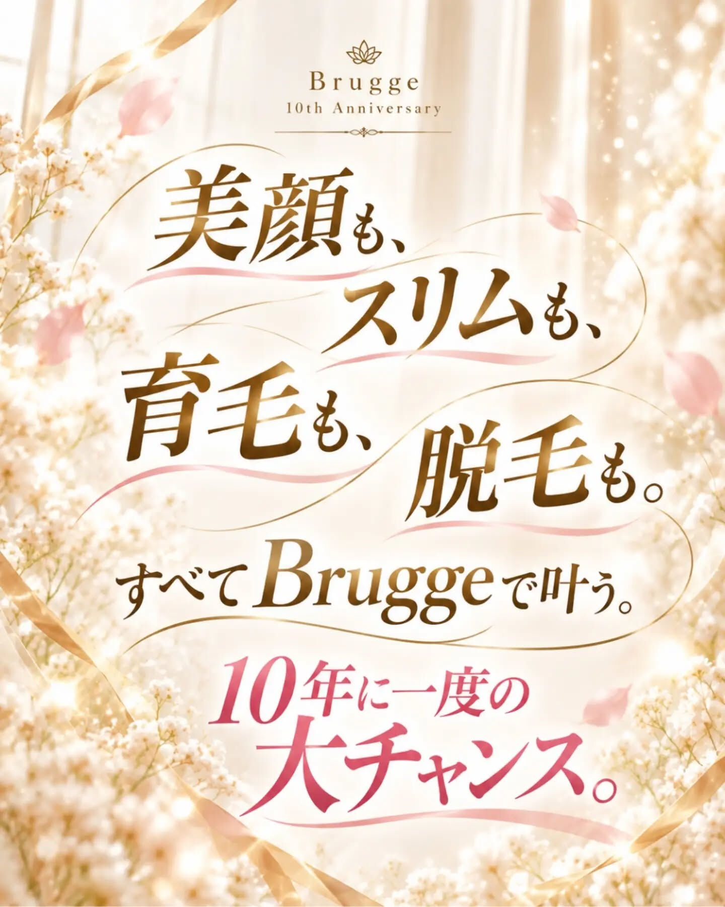 🎀 Brugge 10th Anniversary 🎀
